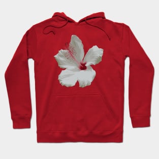 Pure White Hibiscus Tropical Flower Vector Hoodie